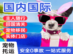 大武机场物流国际宠物托运 【国